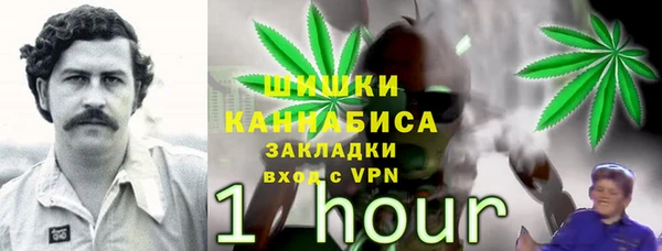 МДПВ Зеленодольск