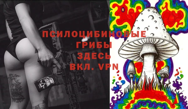 МДПВ Зеленодольск