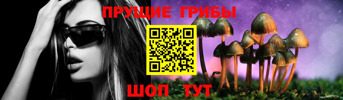 Галлюциногенные грибы Cubensis Избербаш